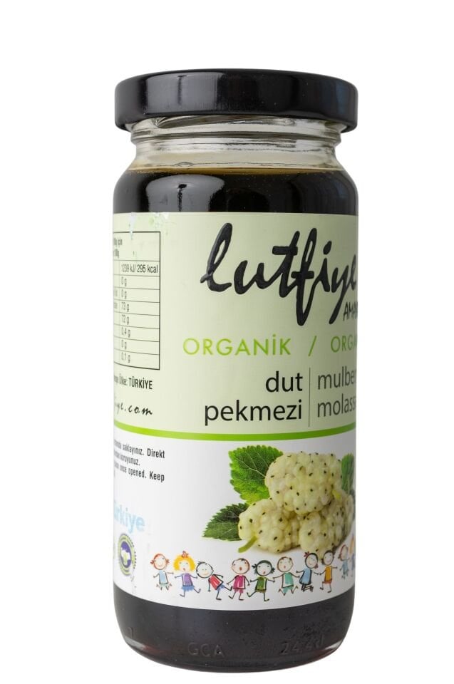 Organik Dut Pekmezi 280g